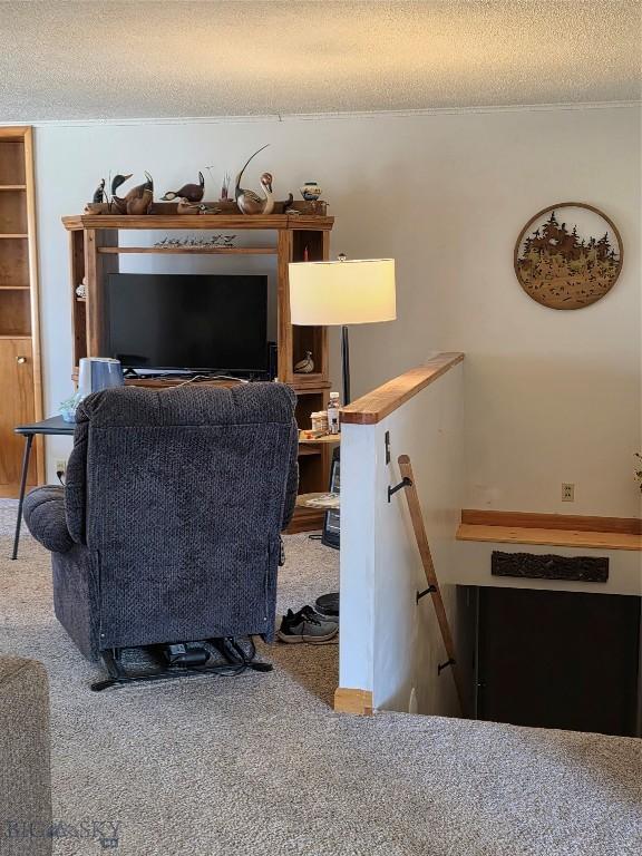 606 S Arizona, Dillon, MT 59725 - carpeted living room featuring a textured ceiling