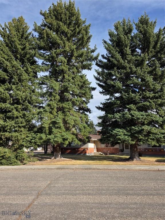 606 S Arizona, Dillon, MT 59725 - view of property hidden behind natural elements