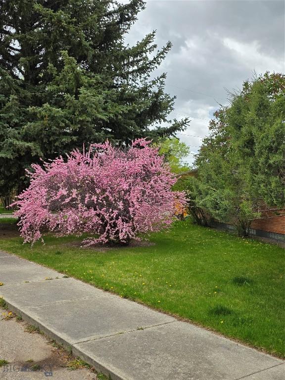 606 S Arizona, Dillon, MT 59725 - view of green lawn