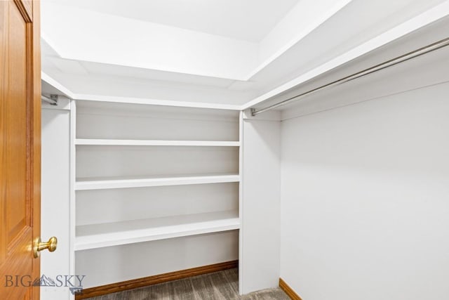 1413 Cherry Dr, Bozeman, MT 59715 - view of spacious closet