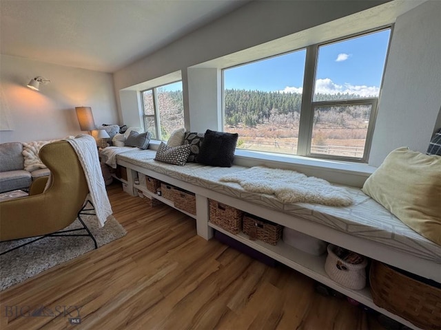 living room with wood finished floors