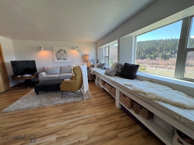 living room featuring wood finished floors