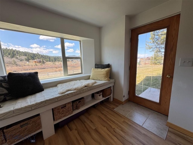 sitting room featuring baseboards, wood finished floors, and plenty of natural light