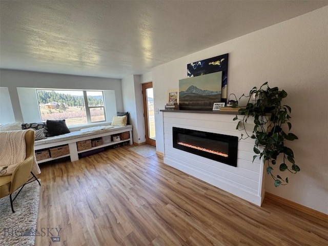 living room with a glass covered fireplace, wood finished floors, and baseboards
