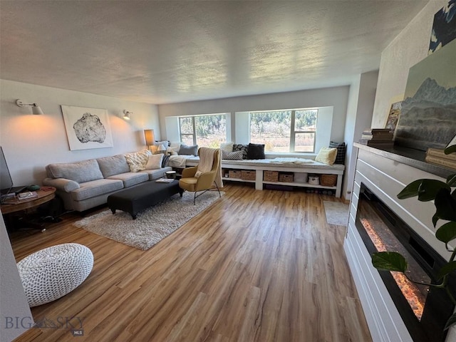 living area featuring wood finished floors