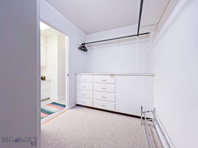 spacious closet with carpet floors
