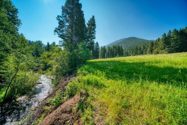 14470 Cottonwood Canyon Rd, Bozeman, MT 59718 - mountain view featuring a forest view