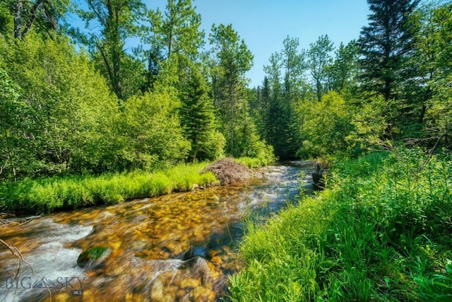 14470 Cottonwood Canyon Rd, Bozeman, MT 59718 - view of local wilderness