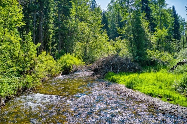 14470 Cottonwood Canyon Rd, Bozeman, MT 59718 - view of local wilderness featuring a view of trees