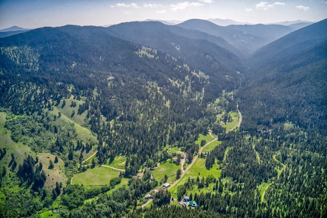 14470 Cottonwood Canyon Rd, Bozeman, MT 59718 - view of mountain feature featuring a view of trees