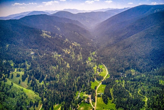 14470 Cottonwood Canyon Rd, Bozeman, MT 59718 - property view of mountains with a wooded view