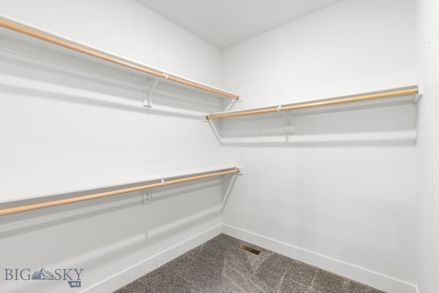1511 Masterson, Belgrade, MT 59714 - spacious closet with dark colored carpet