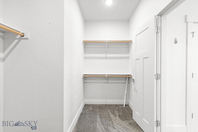 1511 Masterson, Belgrade, MT 59714 - spacious closet with carpet