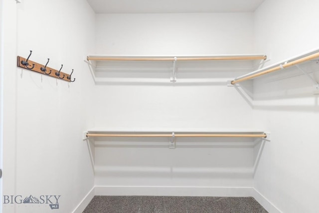 1511 Masterson, Belgrade, MT 59714 - spacious closet with carpet flooring