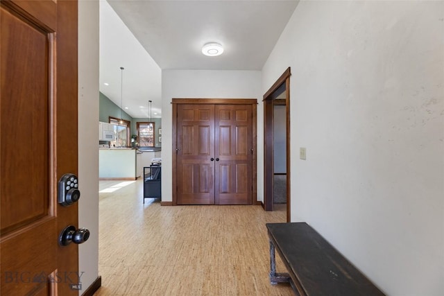 3383 Sora Way, Bozeman, MT 59718 - foyer entrance featuring light wood-style floors and baseboards