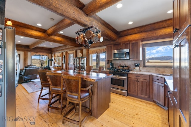 6 Browtine Ln, Ennis, MT 59729 - kitchen featuring light wood finished floors, stainless steel appliances, and plenty of natural light