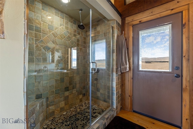6 Browtine Ln, Ennis, MT 59729 - bathroom featuring a healthy amount of sunlight and a shower stall