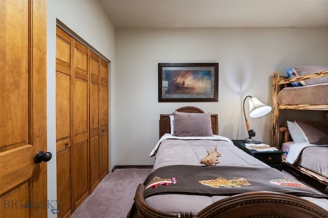 6 Browtine Ln, Ennis, MT 59729 - bedroom with a closet and carpet floors