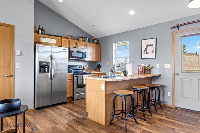 904 Jeanette Pl Unit 4, Belgrade, MT 59714 - kitchen featuring stainless steel appliances, a kitchen bar, a sink, dark wood-style floors, and lofted ceiling
