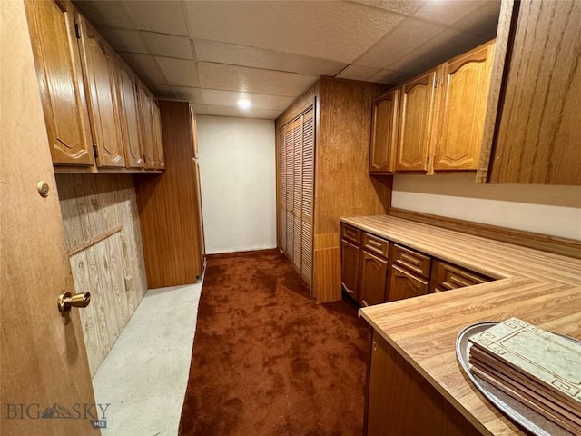 clothes washing area with dark colored carpet and cabinet space