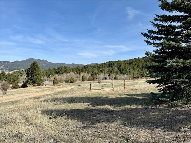 mountain view with a rural view and a forest view