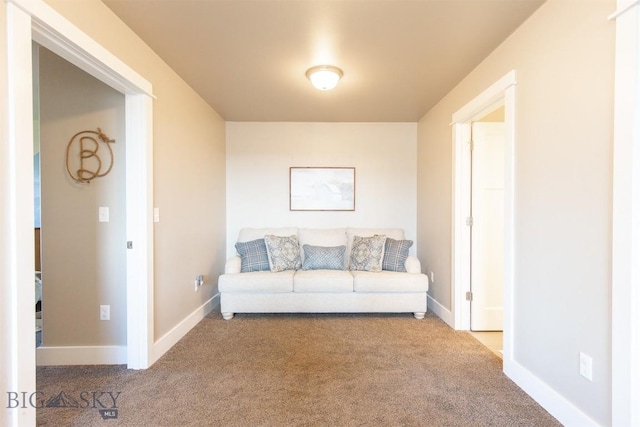 living area featuring baseboards and carpet floors