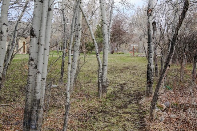 726 US Highway 10 W, Livingston, MT 59047 - view of yard