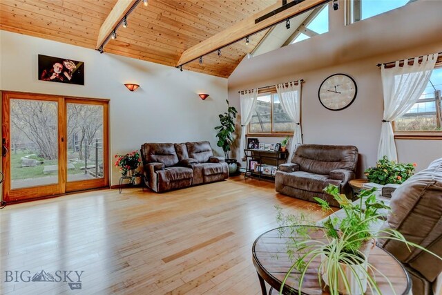 726 US Highway 10 W, Livingston, MT 59047 - living area featuring track lighting, wooden ceiling with exposed beams, high vaulted ceiling, hardwood / wood-style flooring, and a skylight