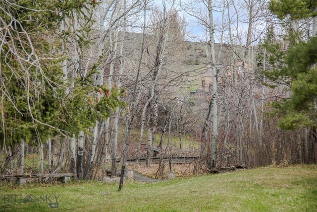 726 US Highway 10 W, Livingston, MT 59047 - view of green lawn featuring a wooded view