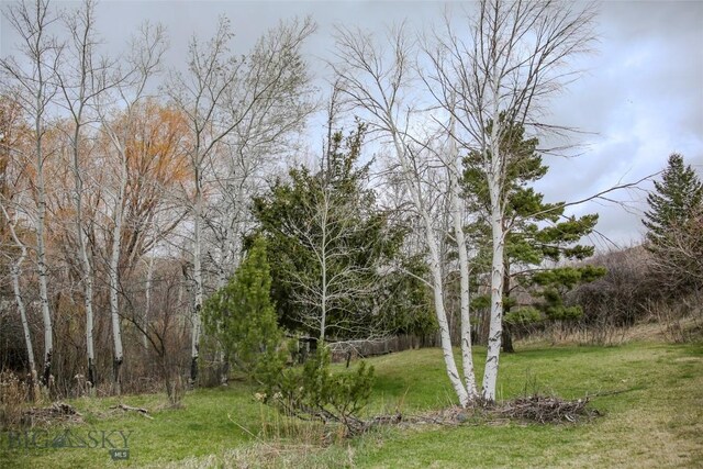 726 US Highway 10 W, Livingston, MT 59047 - view of green lawn