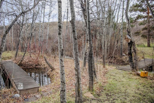 726 US Highway 10 W, Livingston, MT 59047 - view of yard