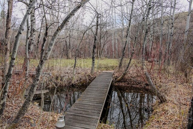 726 US Highway 10 W, Livingston, MT 59047 - dock area with a forest view