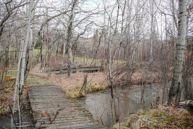 726 US Highway 10 W, Livingston, MT 59047 - view of dock area