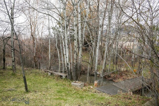 726 US Highway 10 W, Livingston, MT 59047 - view of woods
