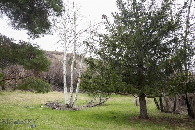 726 US Highway 10 W, Livingston, MT 59047 - view of grassy yard