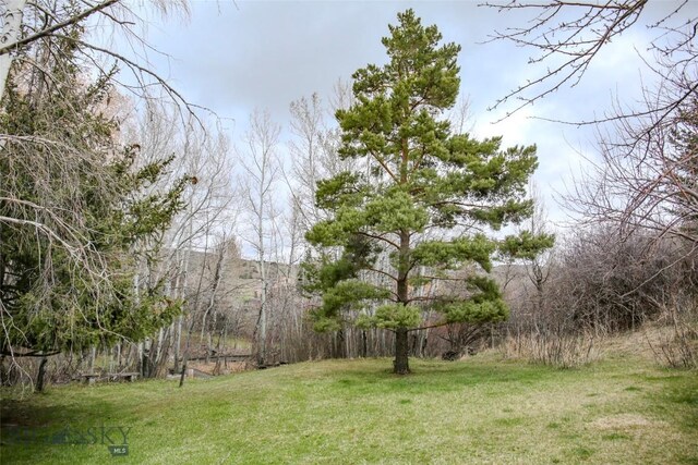 726 US Highway 10 W, Livingston, MT 59047 - view of green lawn featuring a view of trees