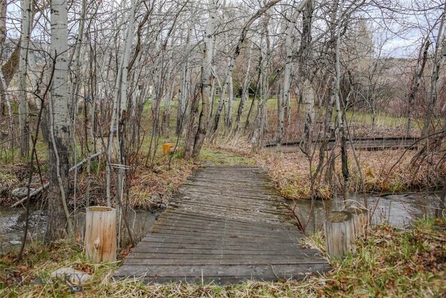 726 US Highway 10 W, Livingston, MT 59047 - view of dock