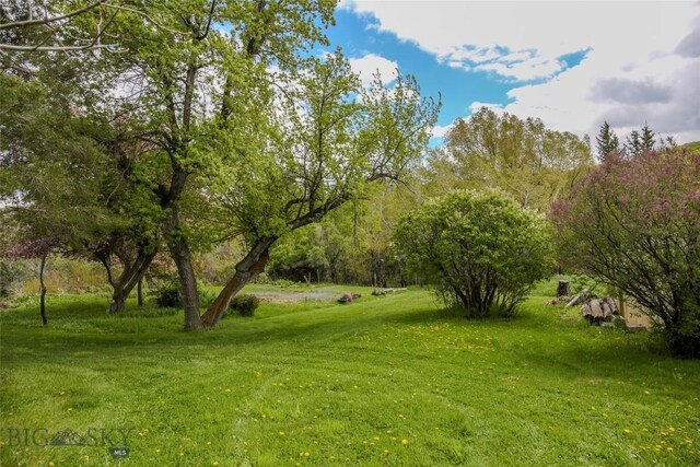 726 US Highway 10 W, Livingston, MT 59047 - view of green lawn