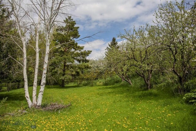 726 US Highway 10 W, Livingston, MT 59047 - view of yard