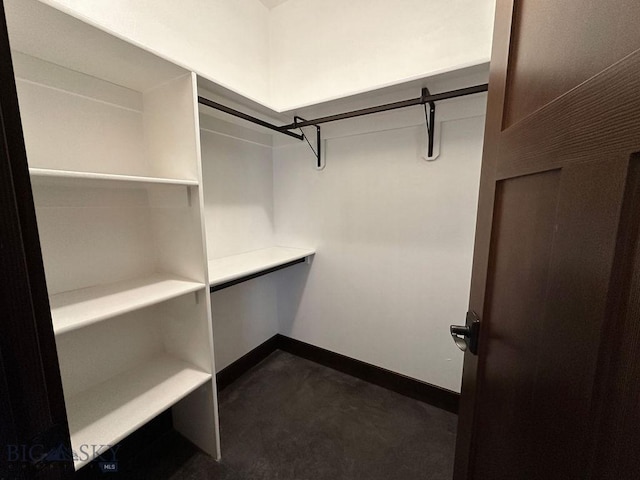 walk in closet featuring dark colored carpet
