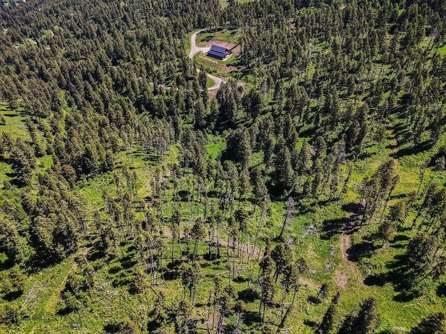182 Elk Ridge Rd, Livingston, MT 59047