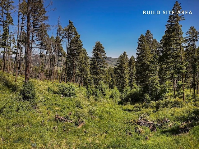 182 Elk Ridge Rd, Livingston, MT 59047