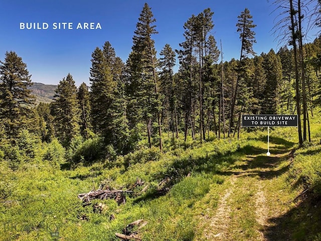 182 Elk Ridge Rd, Livingston, MT 59047