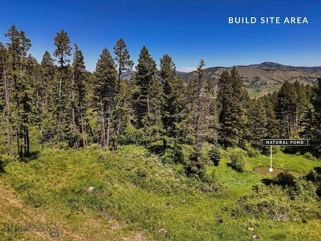 182 Elk Ridge Rd, Livingston, MT 59047
