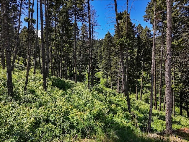 182 Elk Ridge Rd, Livingston, MT 59047