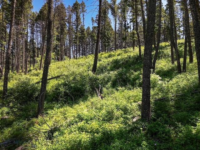 182 Elk Ridge Rd, Livingston, MT 59047