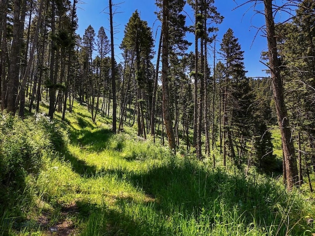 182 Elk Ridge Rd, Livingston, MT 59047