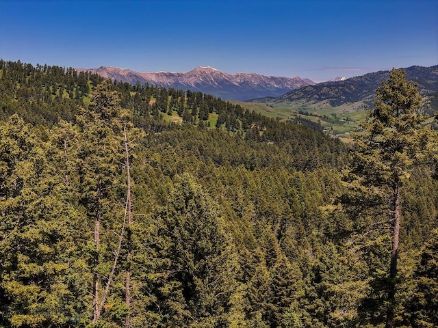 182 Elk Ridge Rd, Livingston, MT 59047