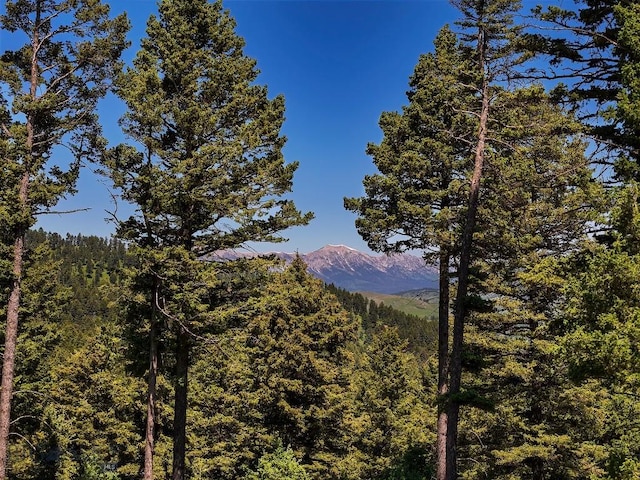 182 Elk Ridge Rd, Livingston, MT 59047