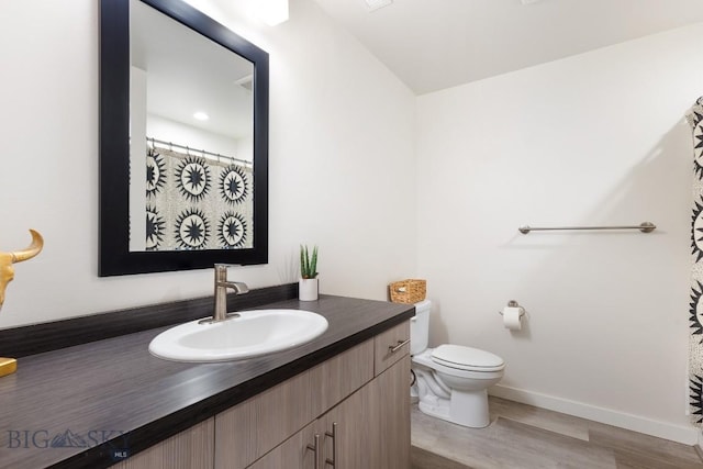 1307 Grover Ln Unit B, Belgrade, MT 59714 - bathroom featuring vanity, wood finished floors, toilet, baseboards, and a shower with shower curtain